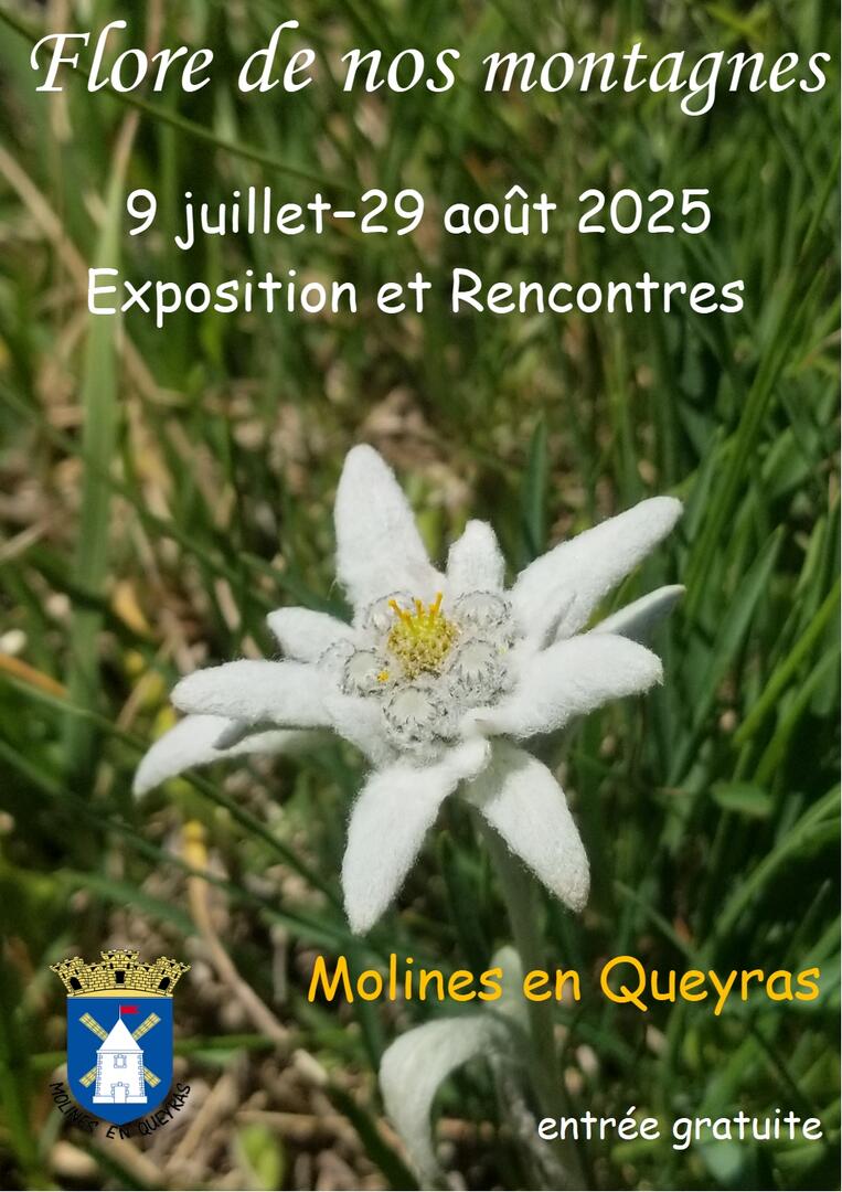 Exposition "Flore de nos montagnes"_Molines-en-Queyras