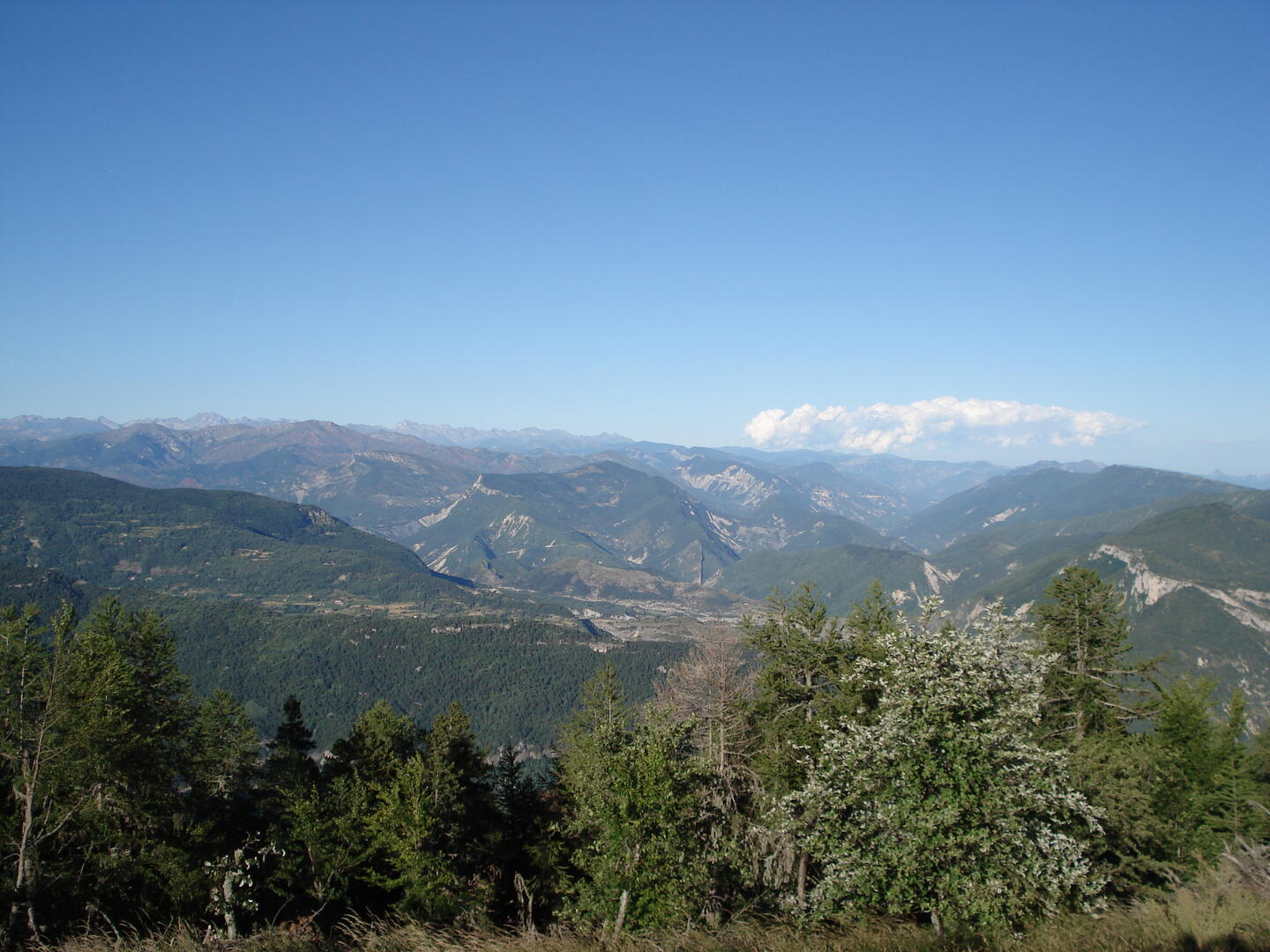 Sommet du Roncheret
