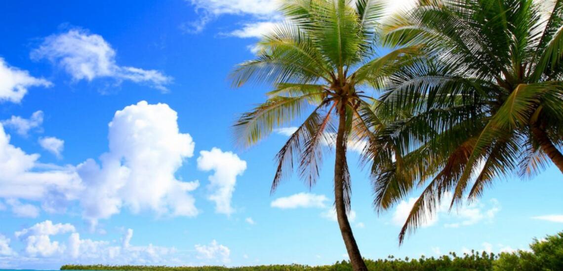 Tereva Tane E Vahine - Tahiti Tourisme