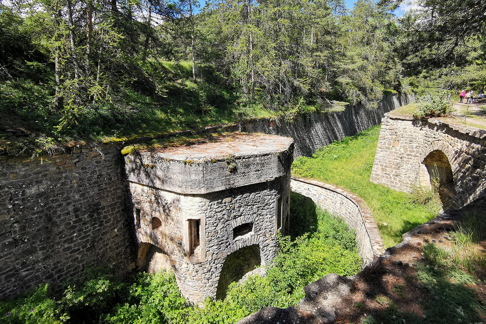 Forts et forêt de Tournoux