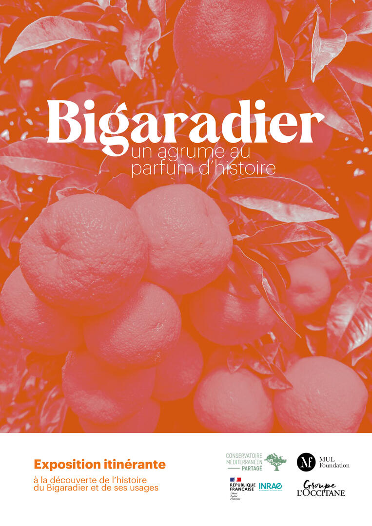 Expo Bigaradier