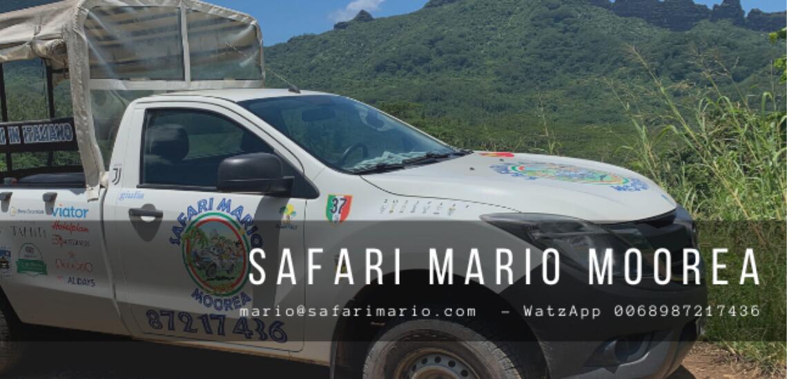 Safari Mario Moorea - Tahiti Tourisme