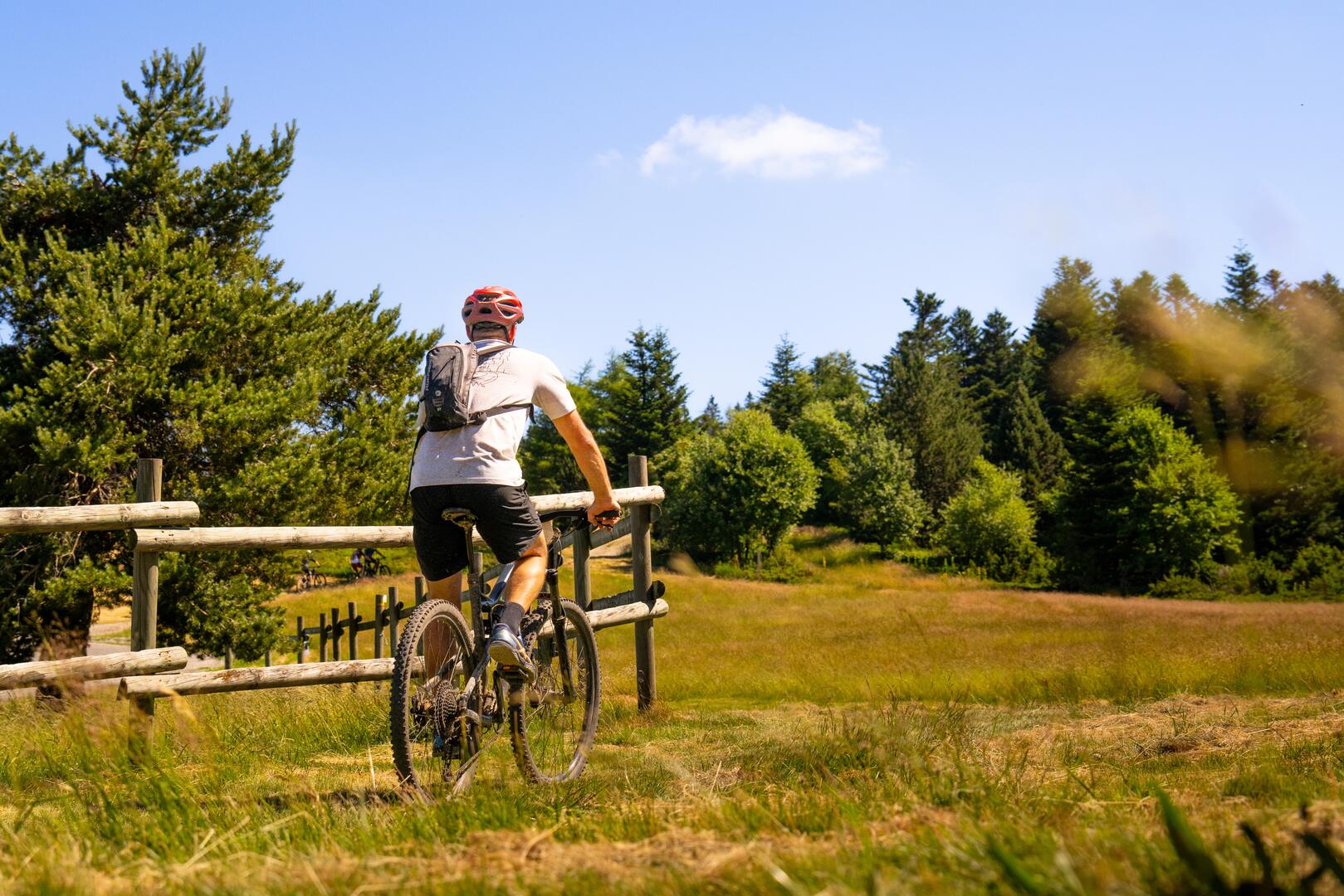 N°61 - Le novice - Espace VTT-FFC Massif des Bois Noirs_La Chamba