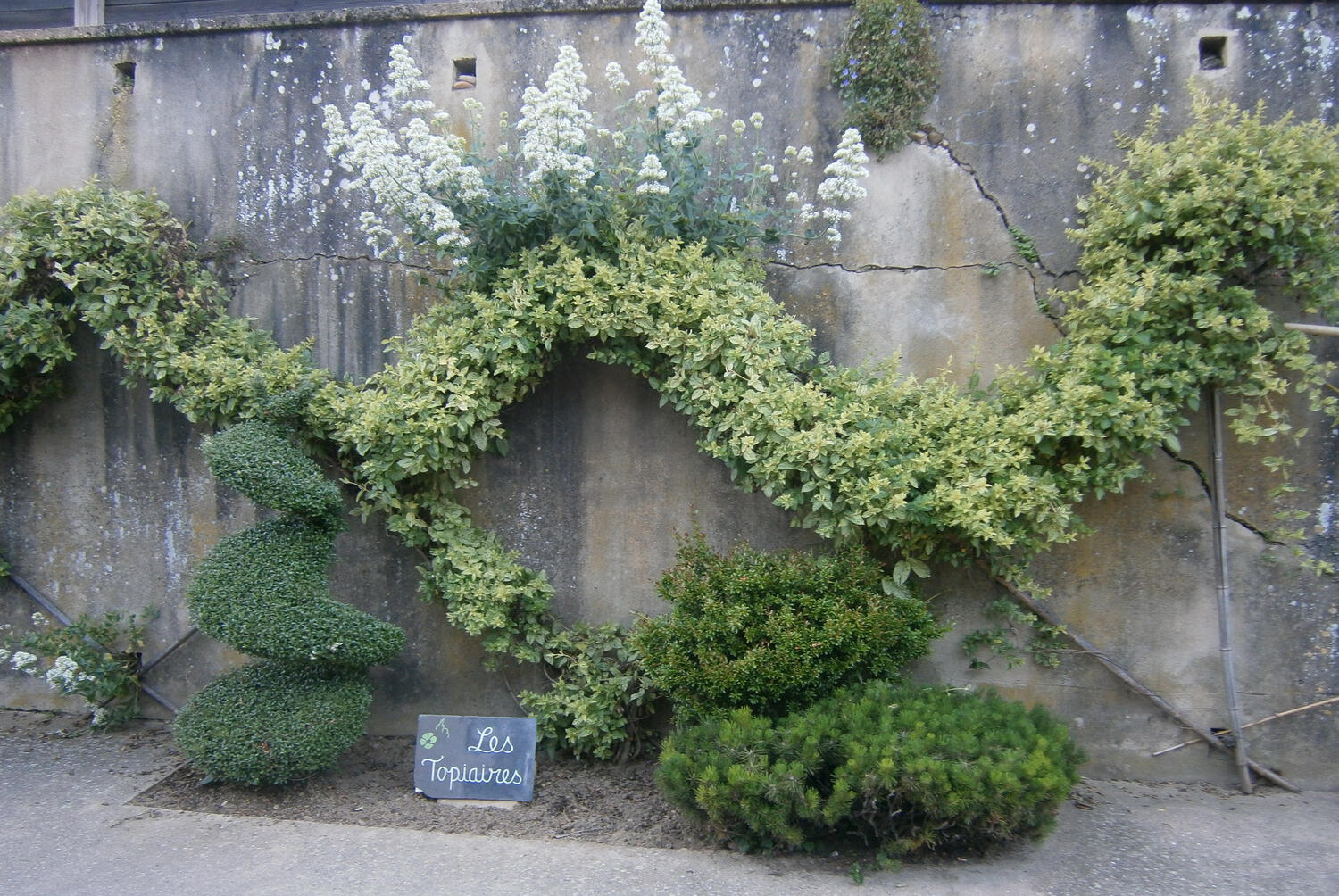 Village botanique
