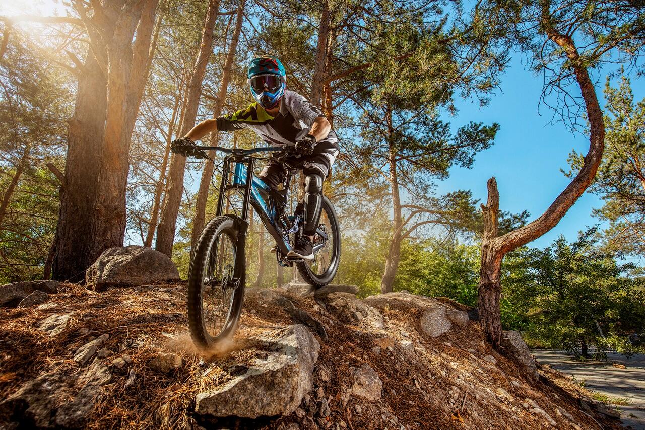 Intersport Centre Vars