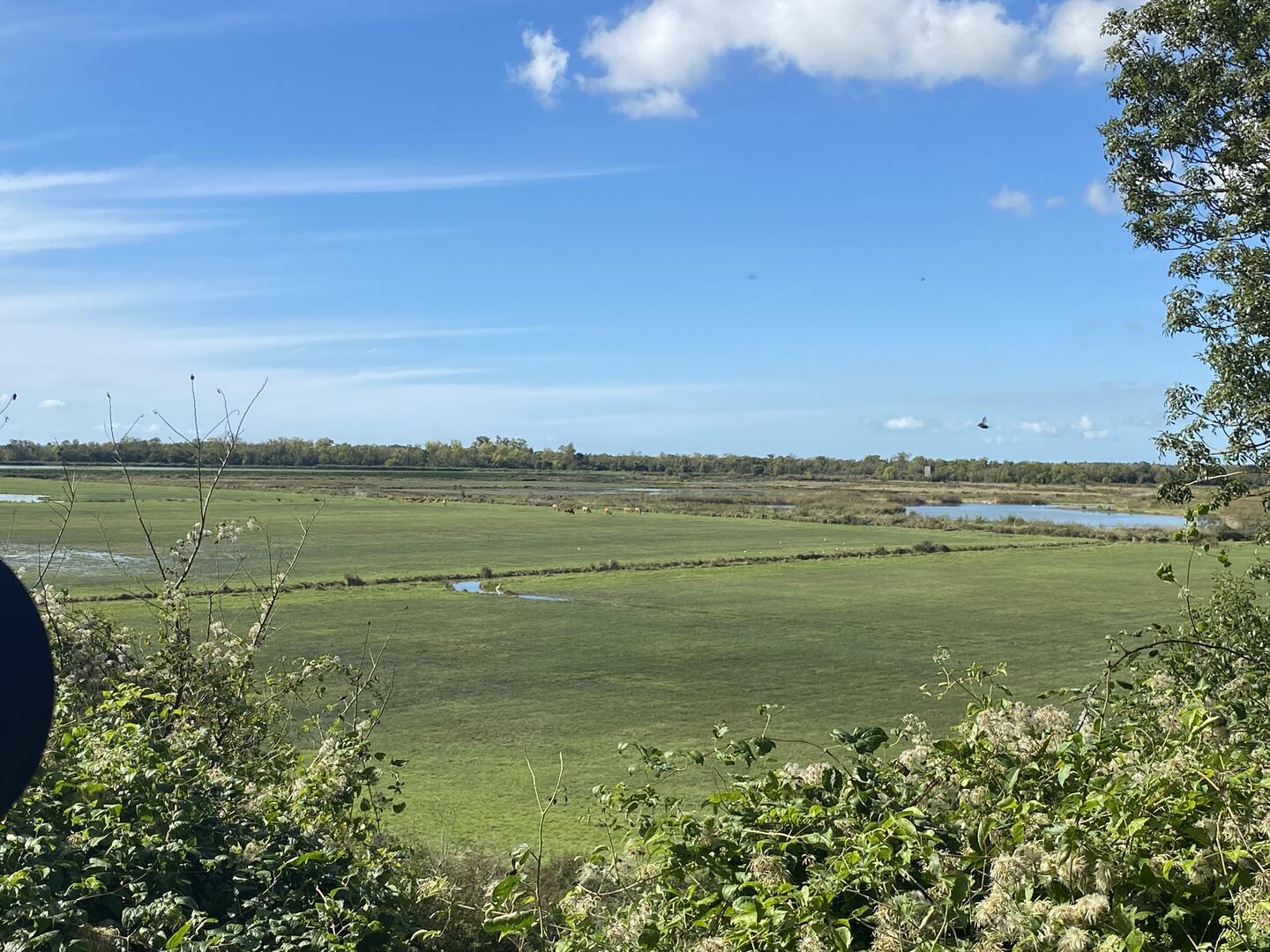 Randonnée du Marais du Roy_Breuil-Magné