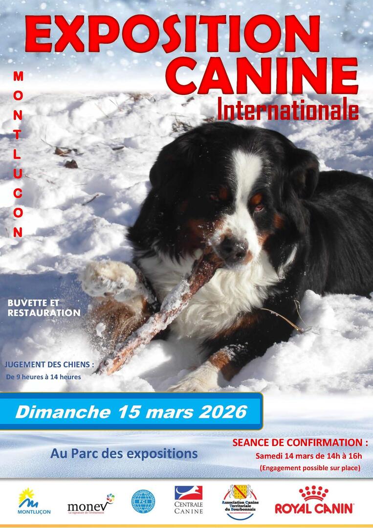 Exposition Canine Internationale_Montluçon