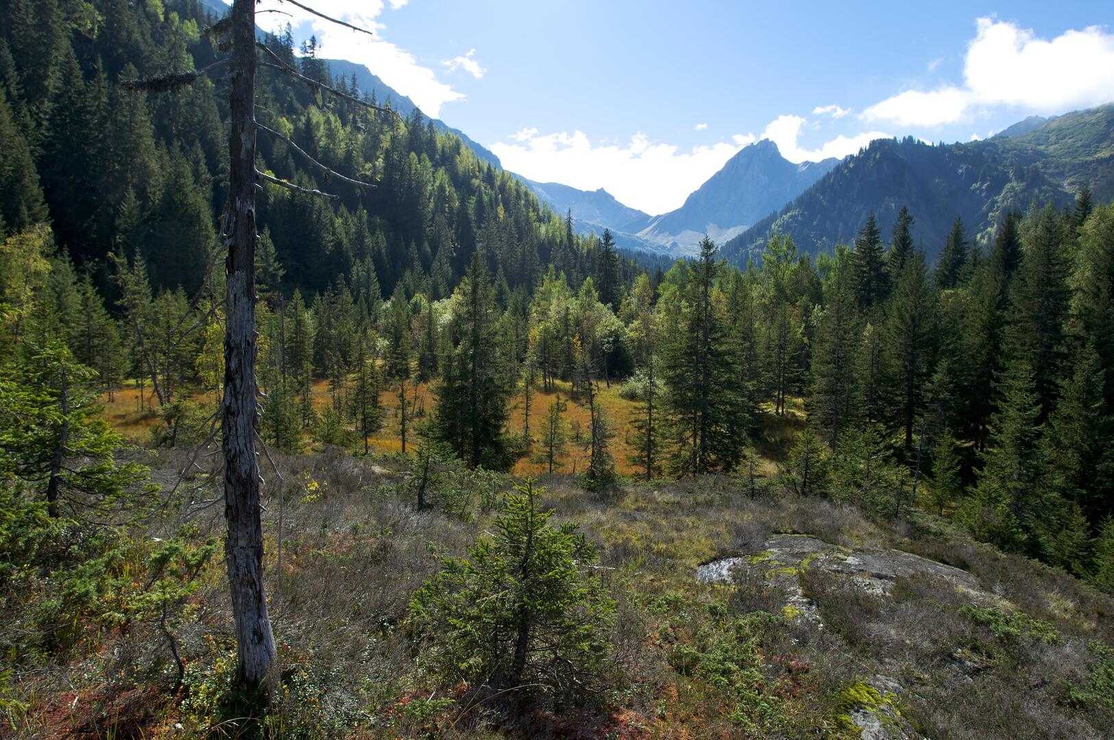 Tourbières de Sololieu