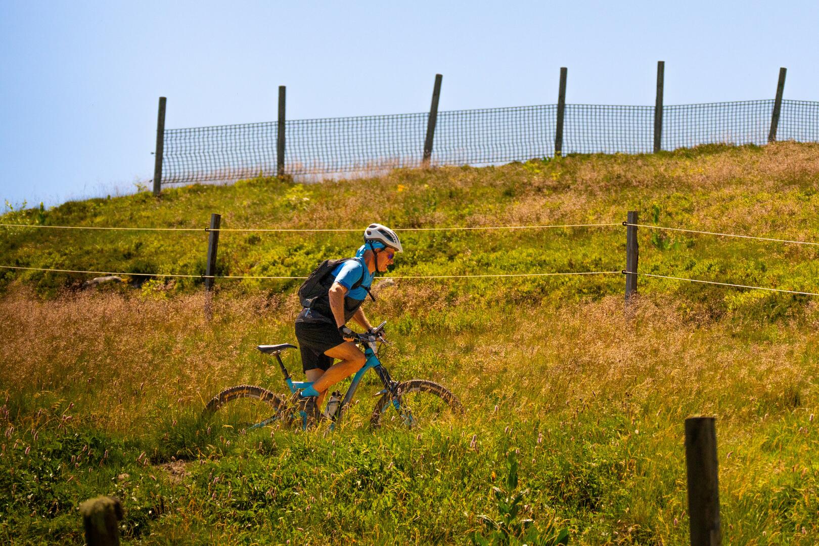 N°60 - Les trois sites - Espace VTT-FFC Massif des Bois Noirs_Chalmazel - Jeansagnière