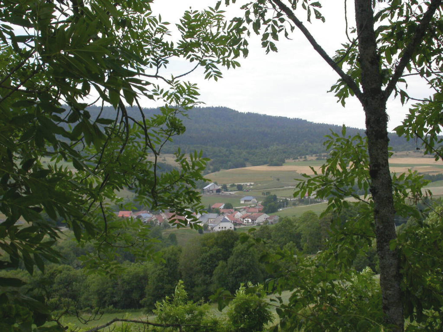 Stage Lecture à voix haute_Arvière-en-Valromey