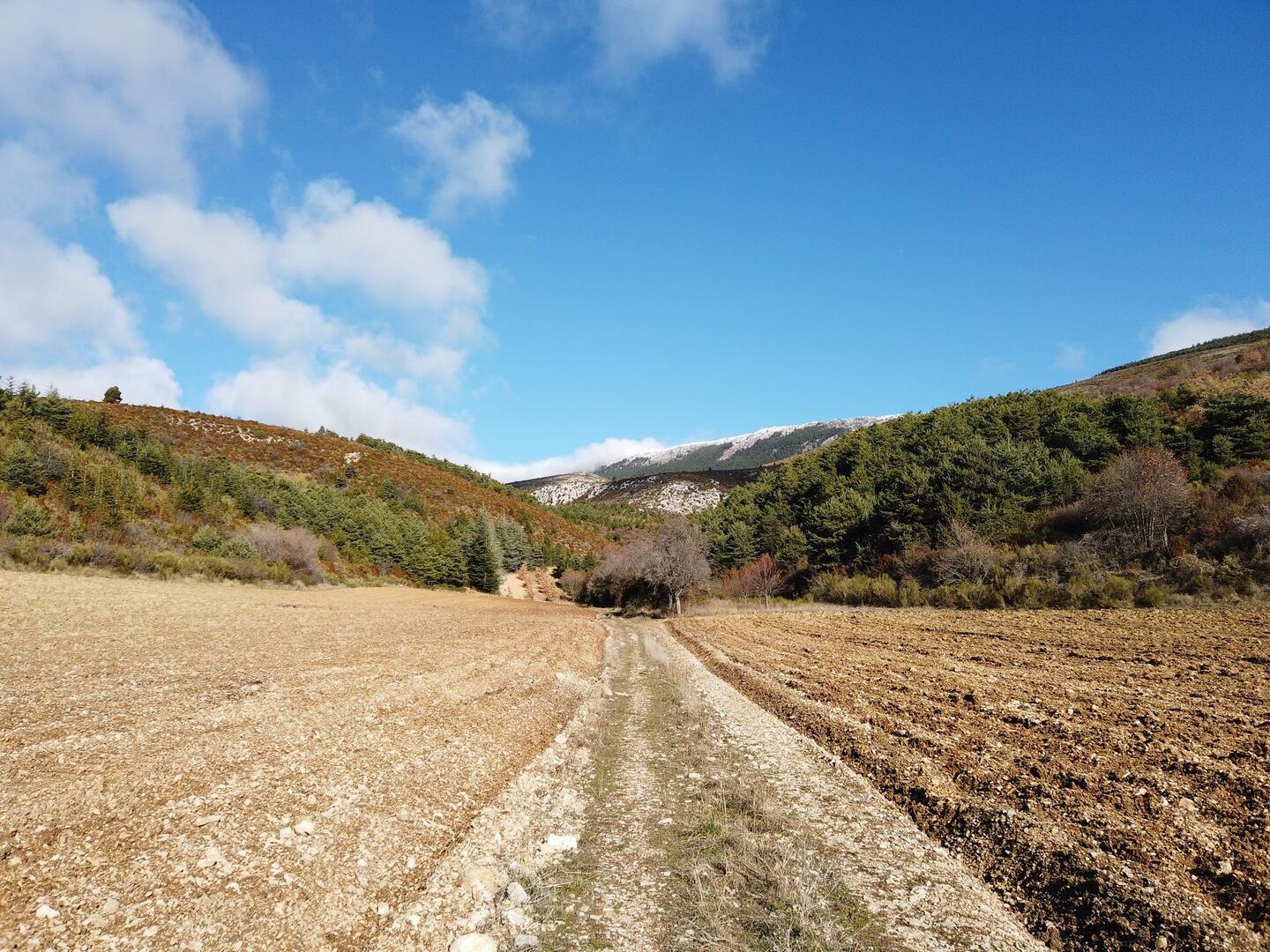 Marignol_Moustiers-Sainte-Marie