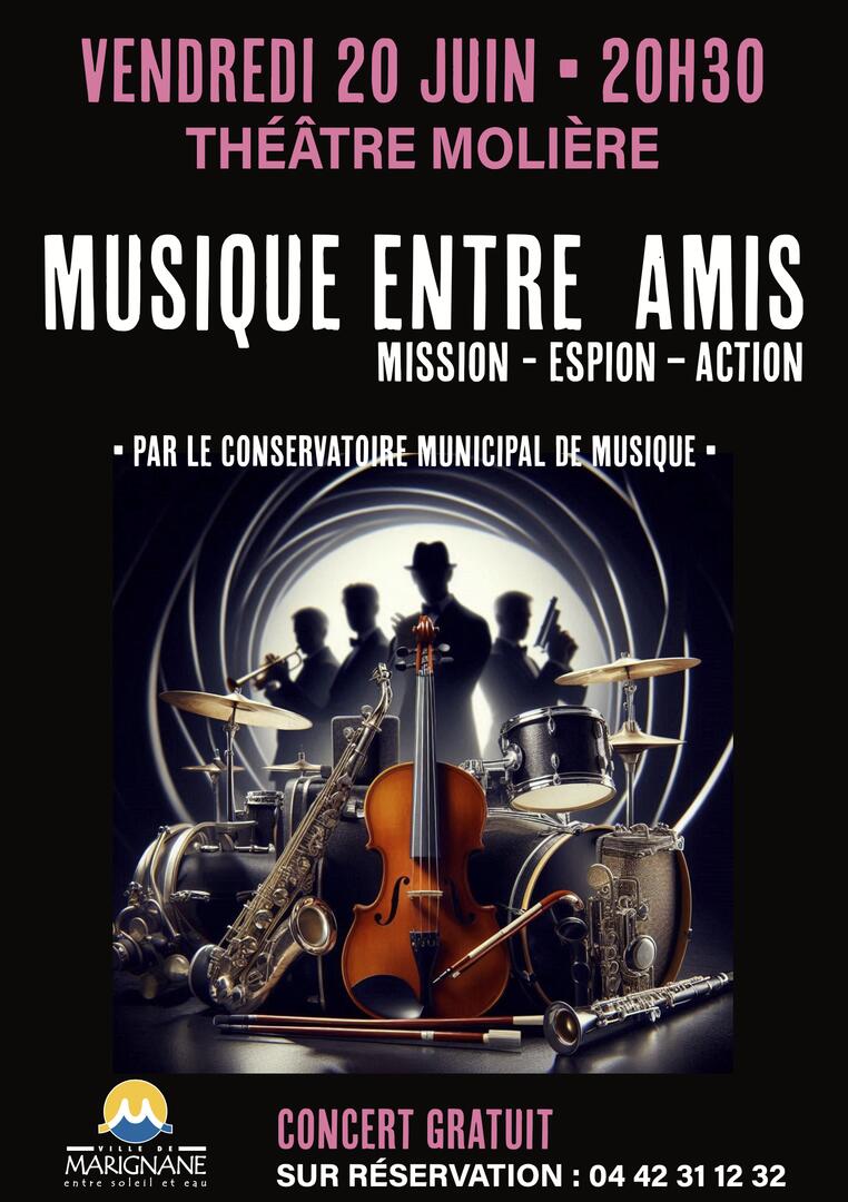 Concert : Musique entre amis