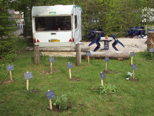Jardin du camping de l'Ourson