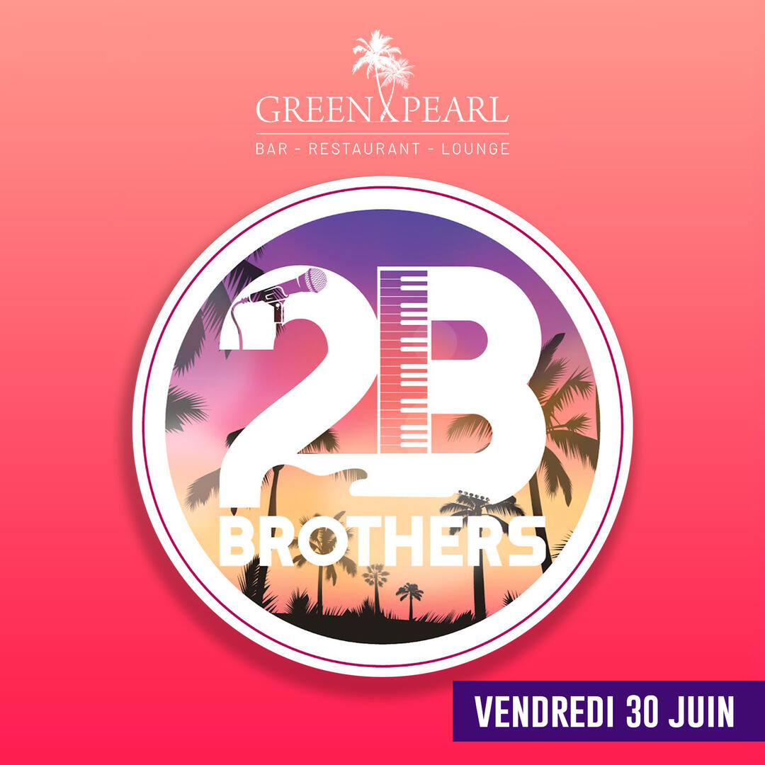 2B Brothers en concert