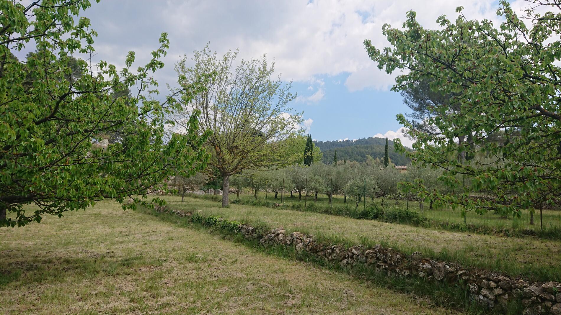 Randonnée en Provence