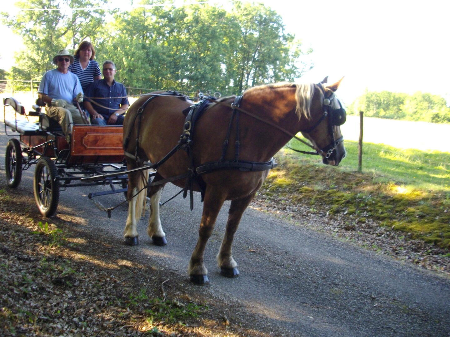 attelage de Deux Rives
