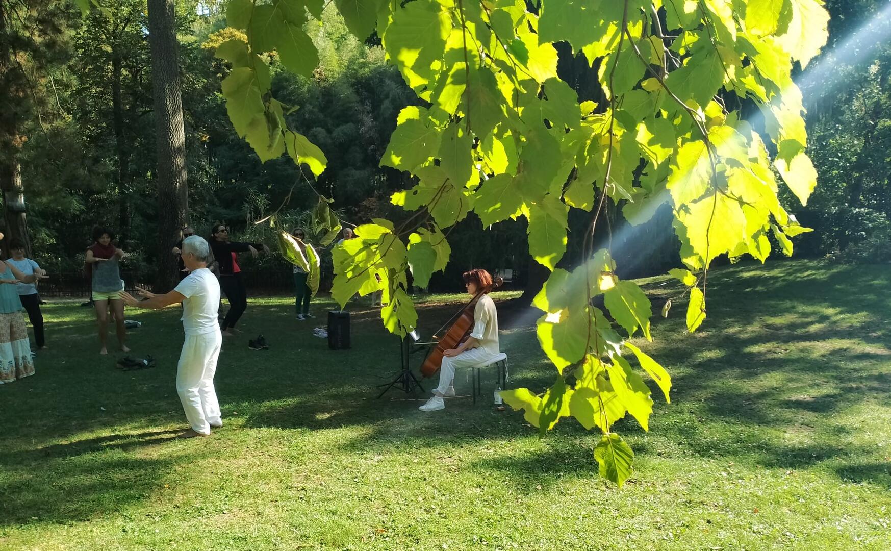 Porte ouverte « Découverte des cours de Qi Gong » accompagné d’un Violoncelle_L'Honor-de-Cos