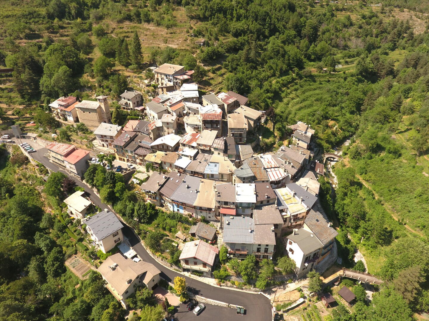 morignole