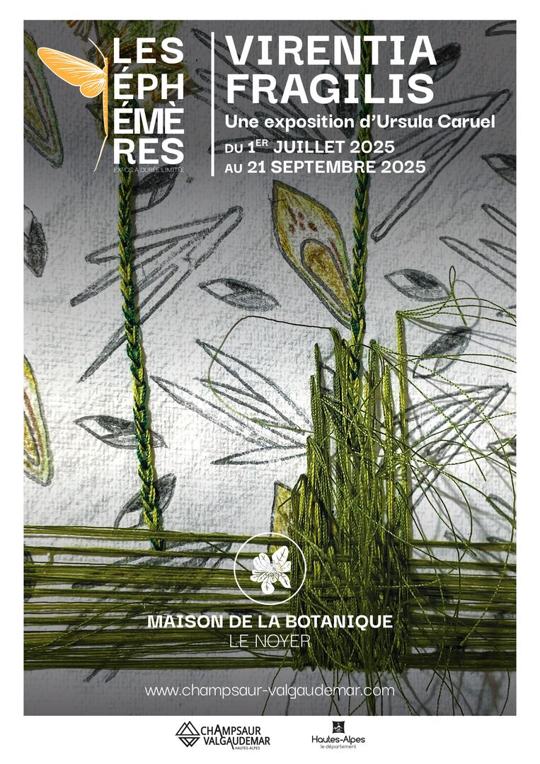 Visites guidées des expositions de la Maison de la Botanique_Le Noyer