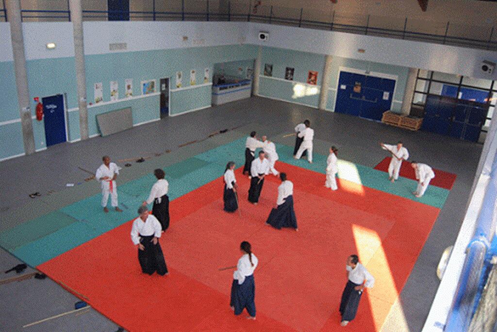 aikido