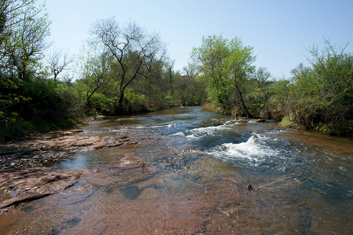 Rivière, l’Aille (Le ProvenceAlpesCôte d’Azur