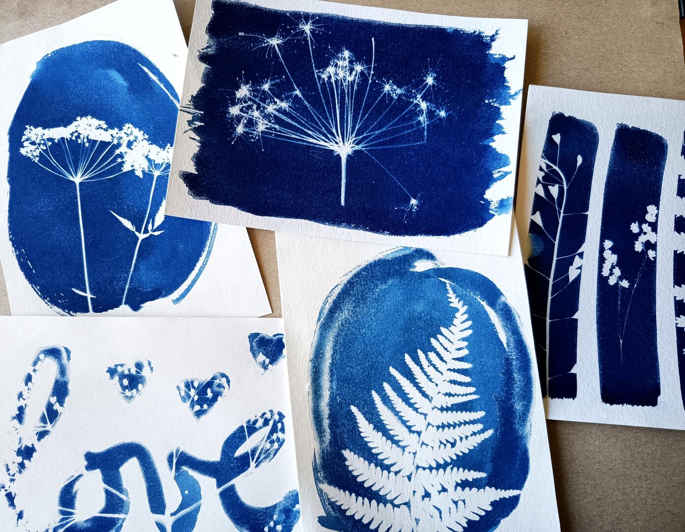 Atelier cyanotype_Saint-Michel-de-Chaillol