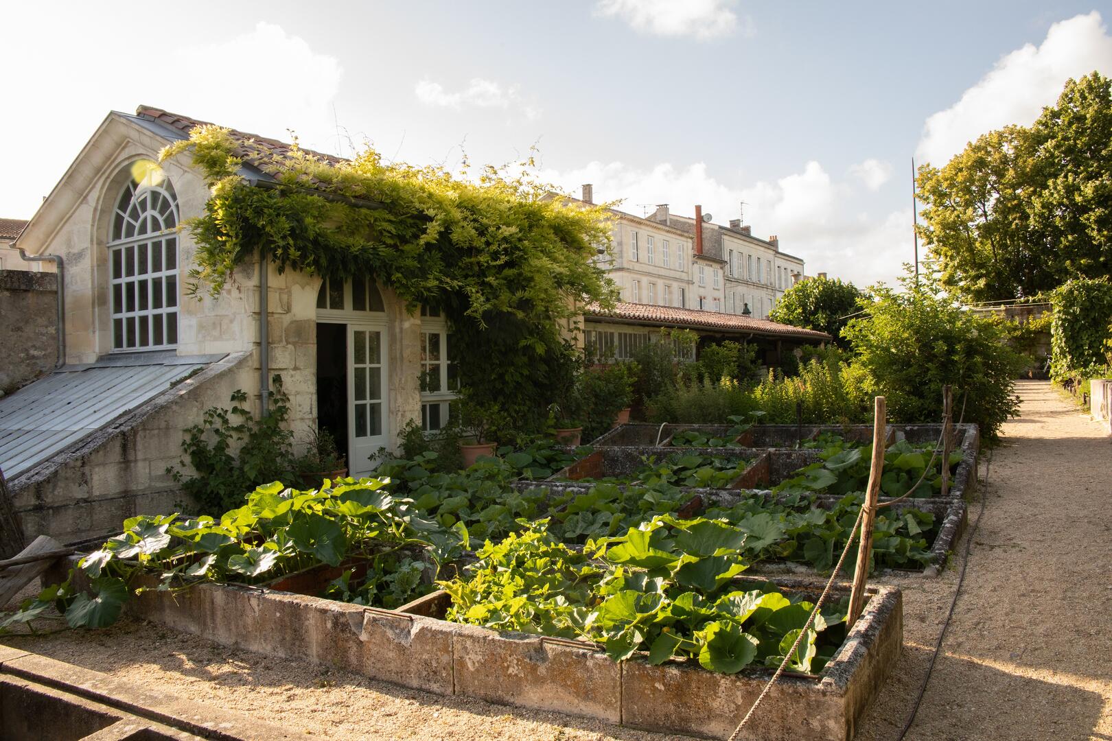 Visite guidée : plantes et jardins_Rochefort