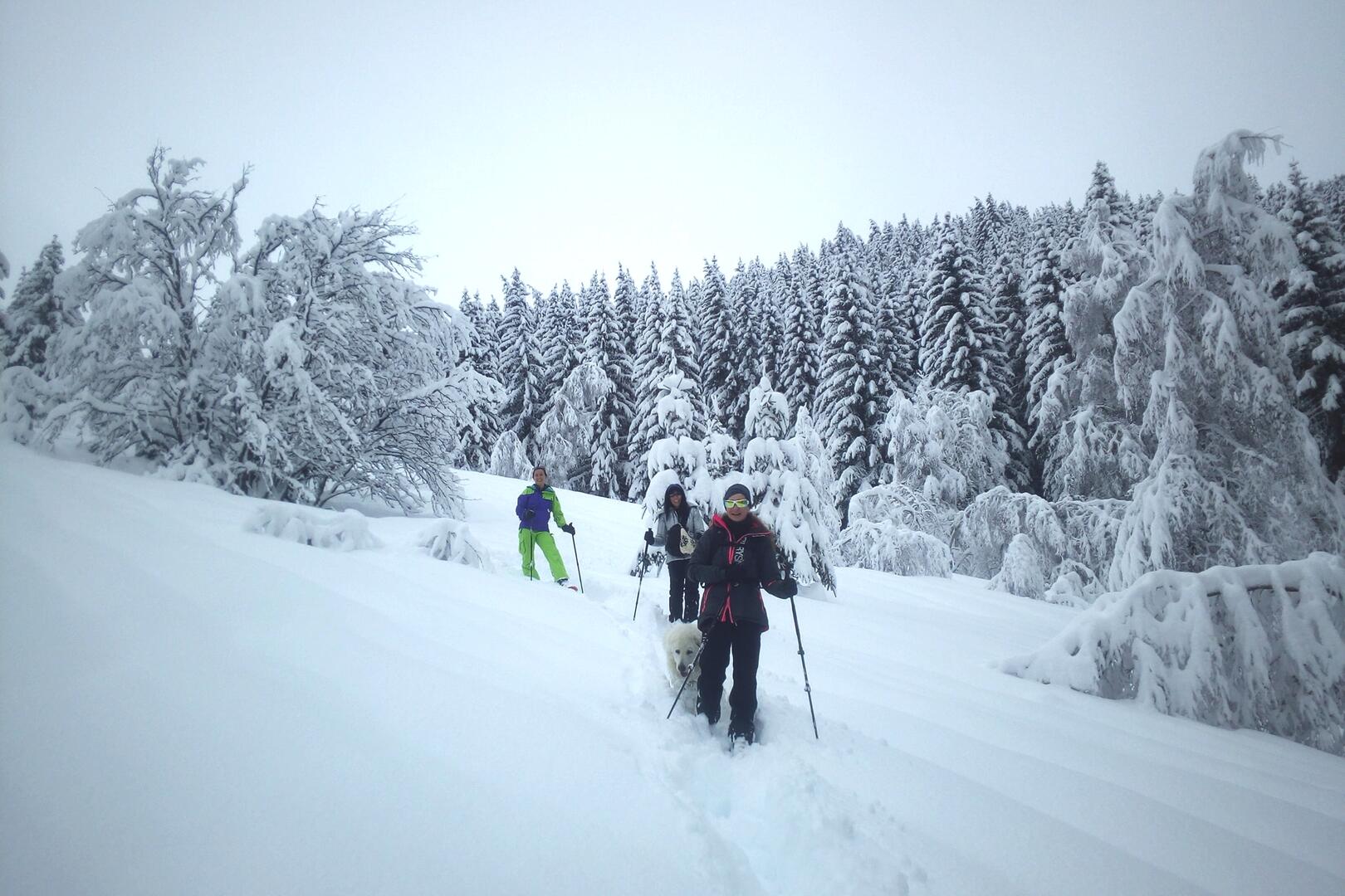 Randonnée en raquettes avec un accompagnateur en montagne