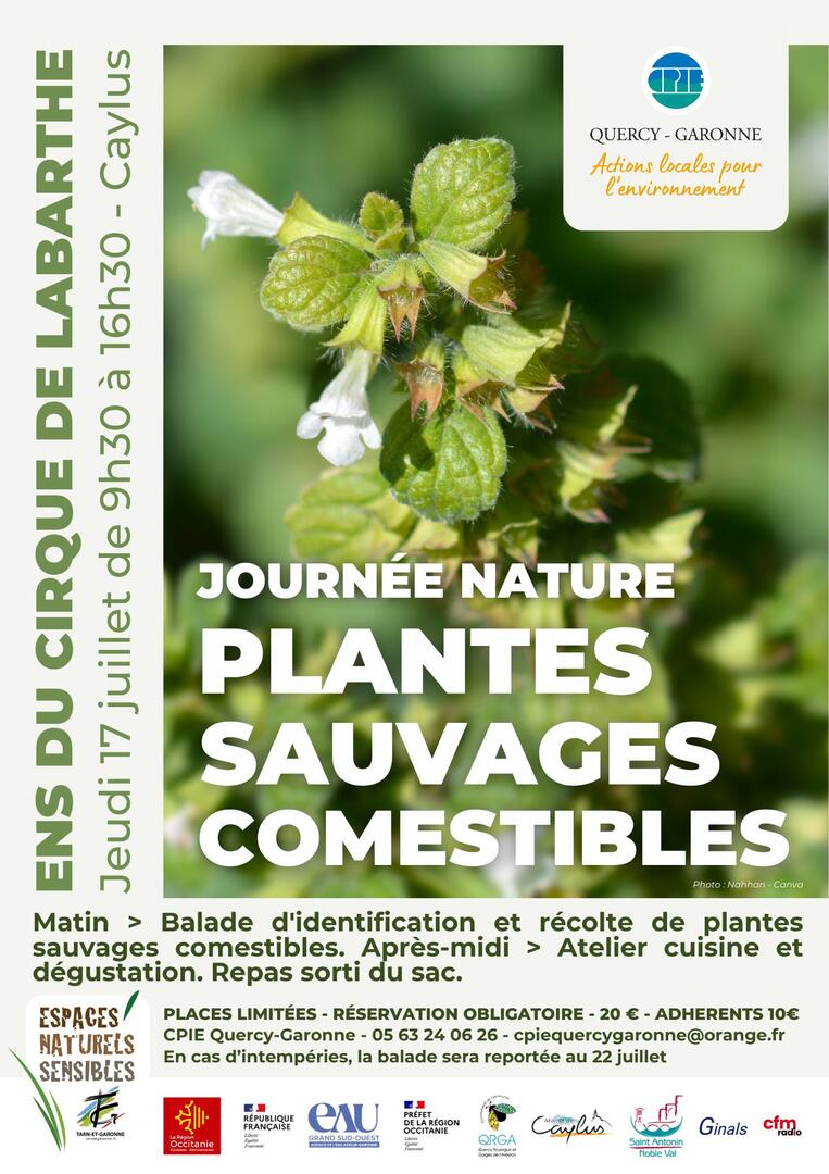 Plantes Sauvages Comestibles 2025