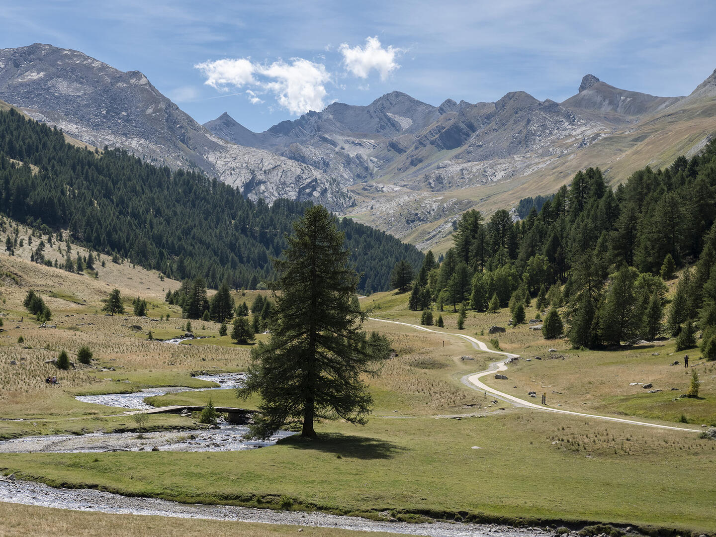 Vallon du Lauzanier