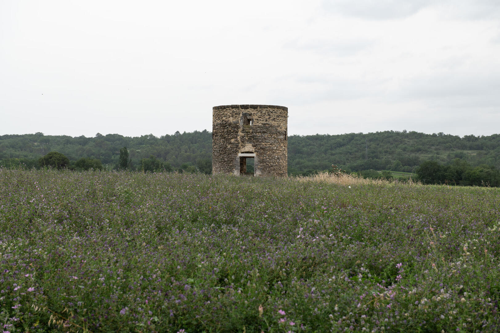 Moulin de St Hippolyte de Caton