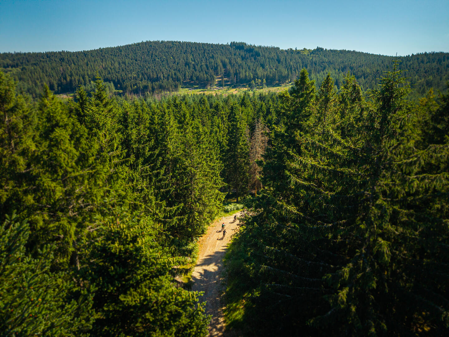 N°62 - Les deux boules - Espace VTT-FFC Massif des Bois Noirs_La Chamba