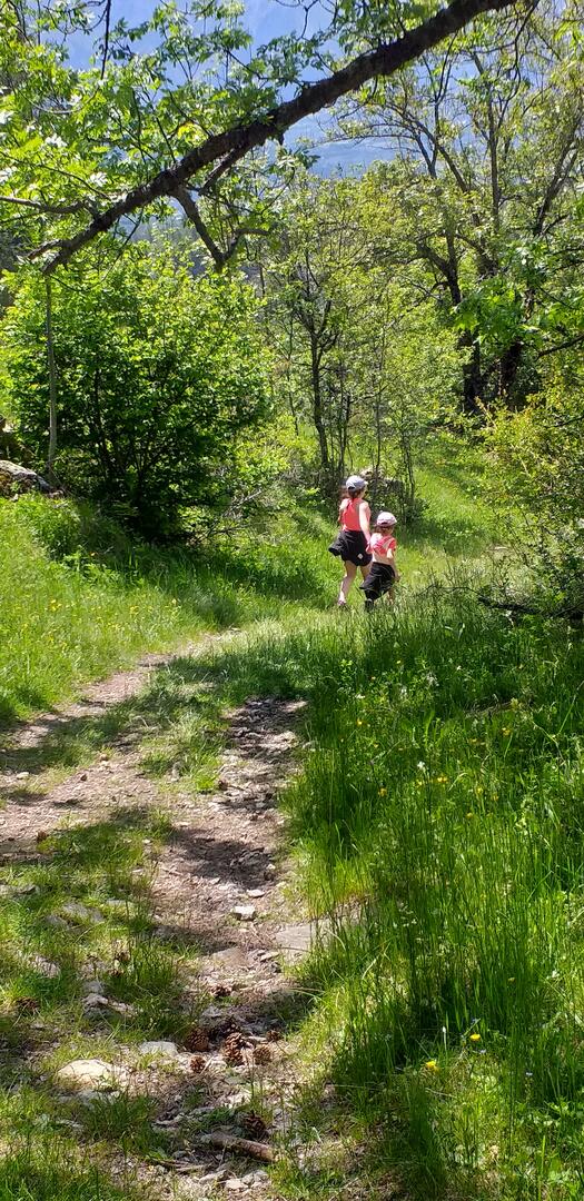 La Fôret du Champsaur - Rando Champsaur