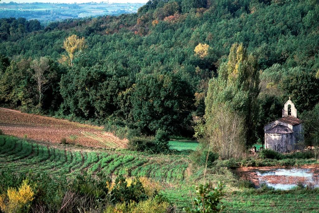 Chapelle St Sernin du Bosc