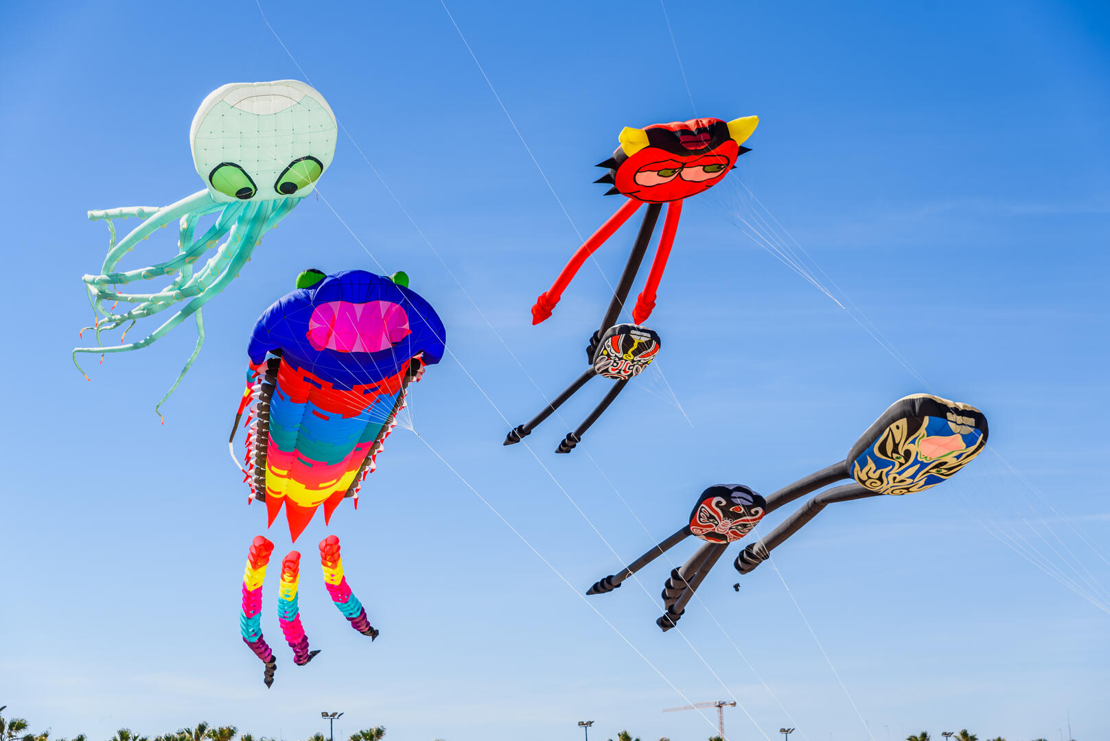 Viens tester ton cerf volant_Vars