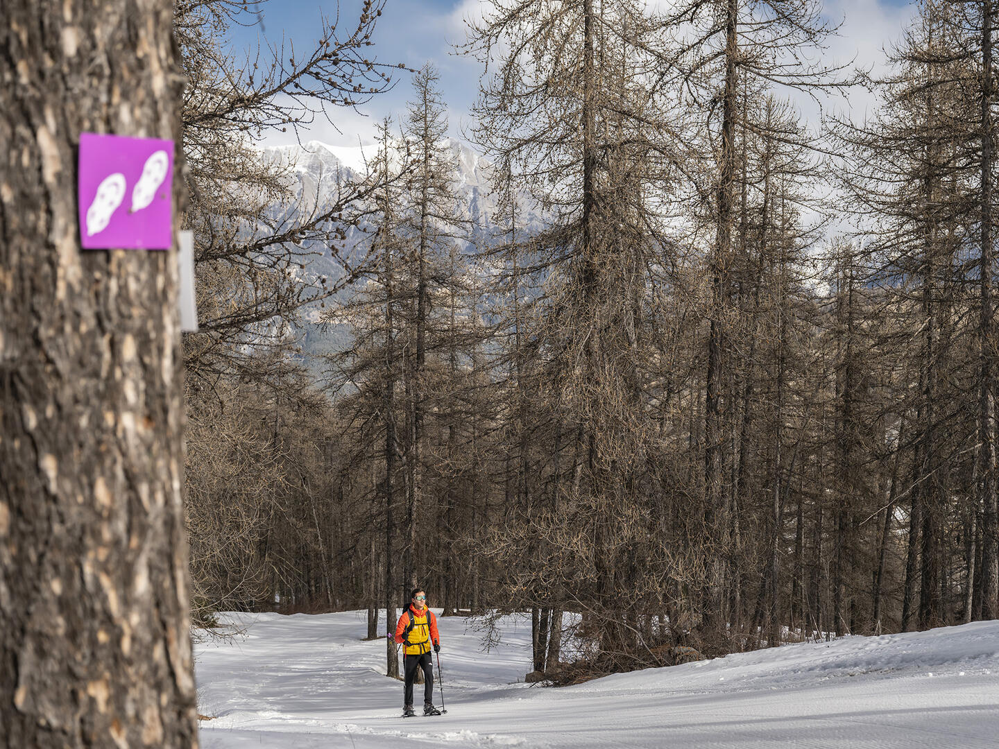 Itinéraire raquettes Le Sauze 1400 - Le Sauze 1700