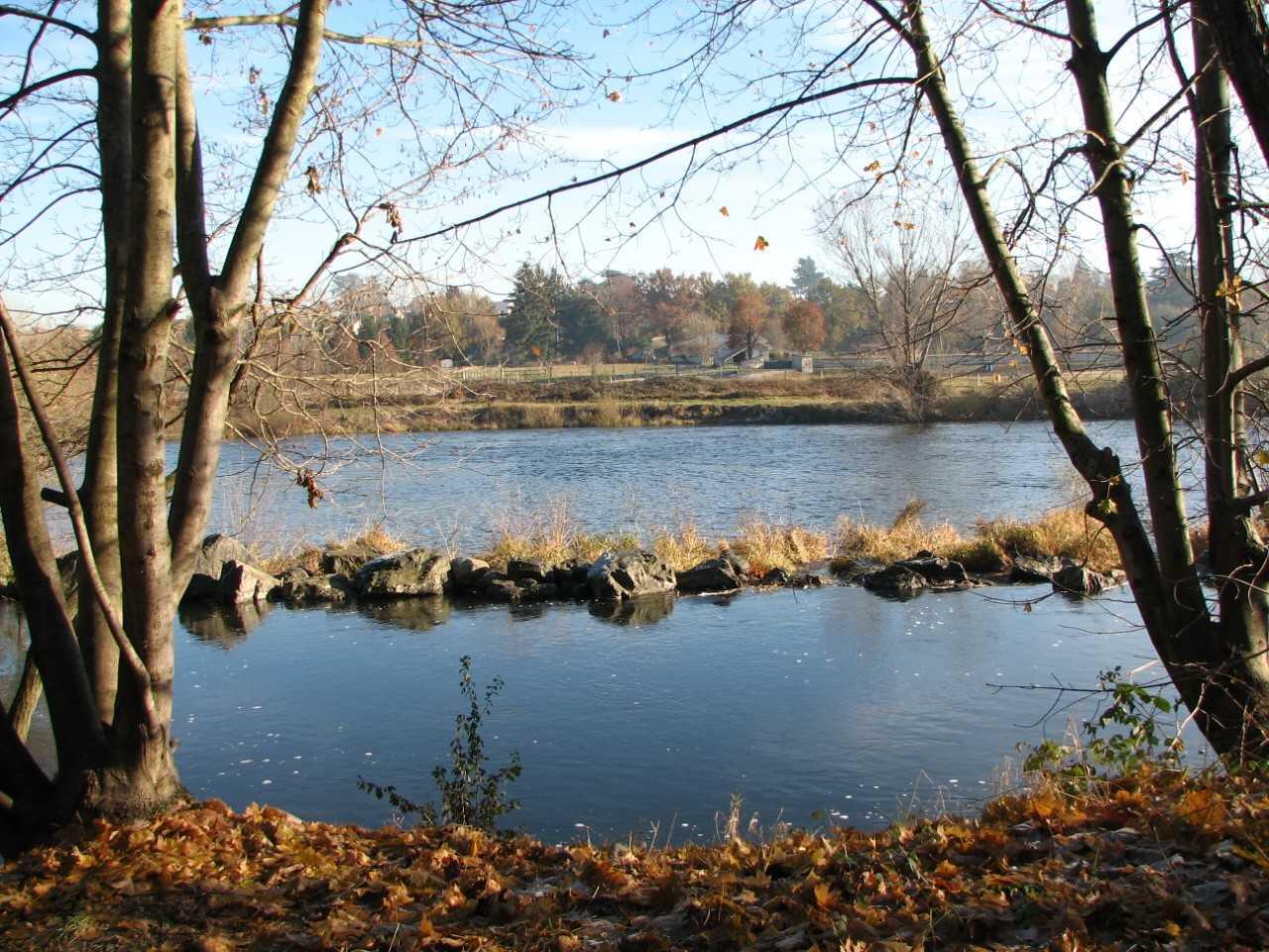 Bords de Loire