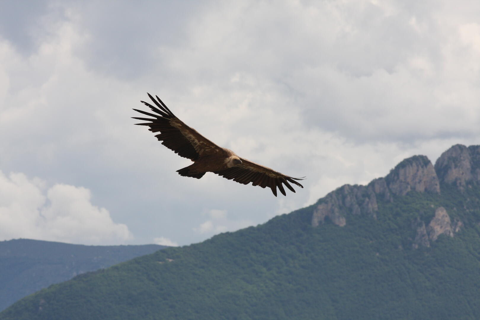 Vercors Tourisme