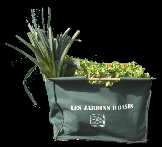 Marché Bio Oasis