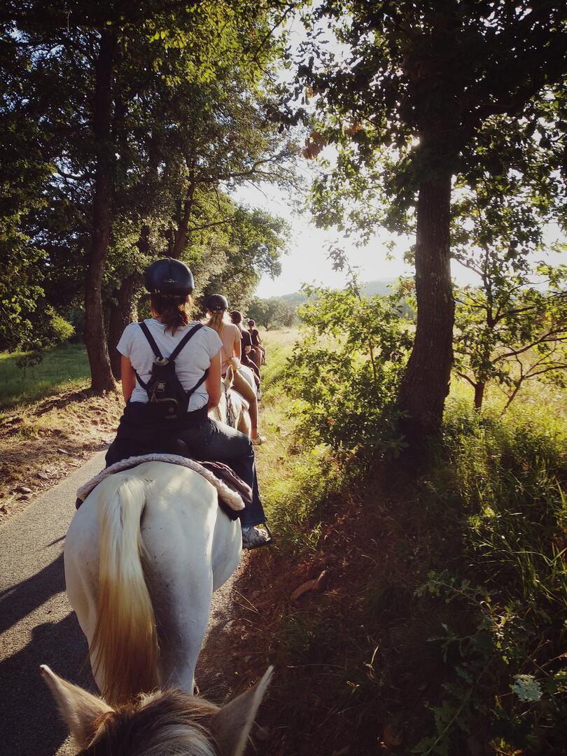 A cheval dans les Maures