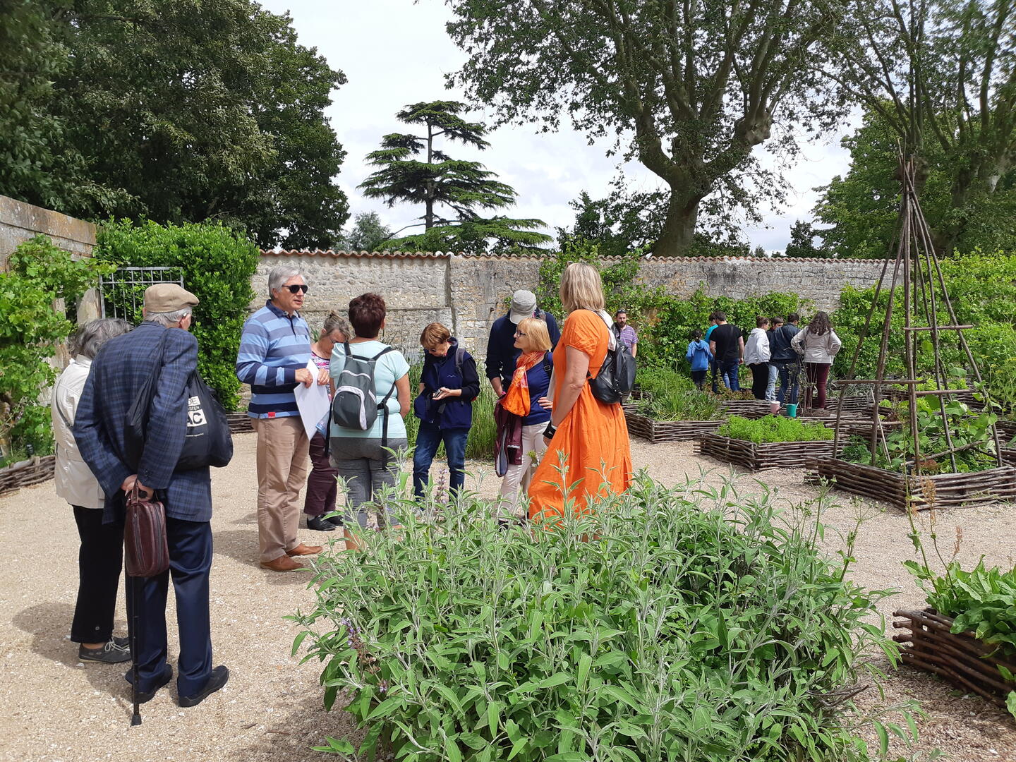 Plantes et Jardin