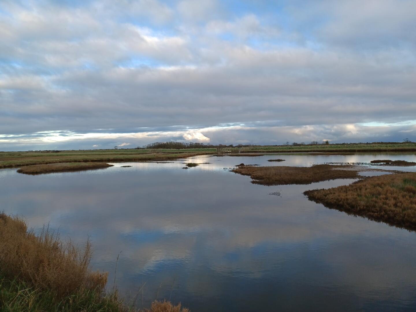 Reserve-Moeze-Oleron-LPO-paysage