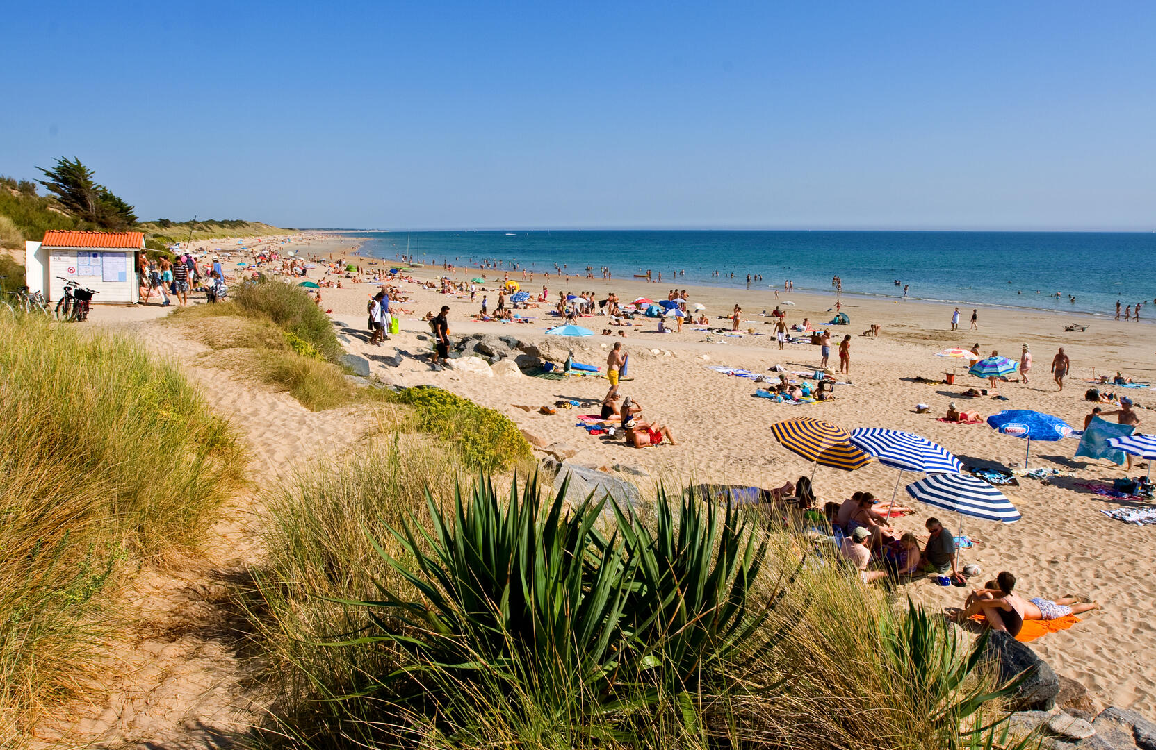 Plage la couarde @francois blanchard.jpg