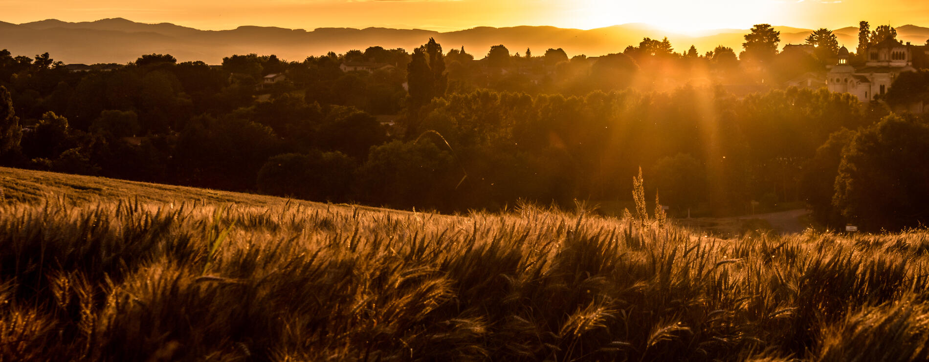 Circuit "Le Chemin du Curé d'Ars"_Ars-sur-Formans
