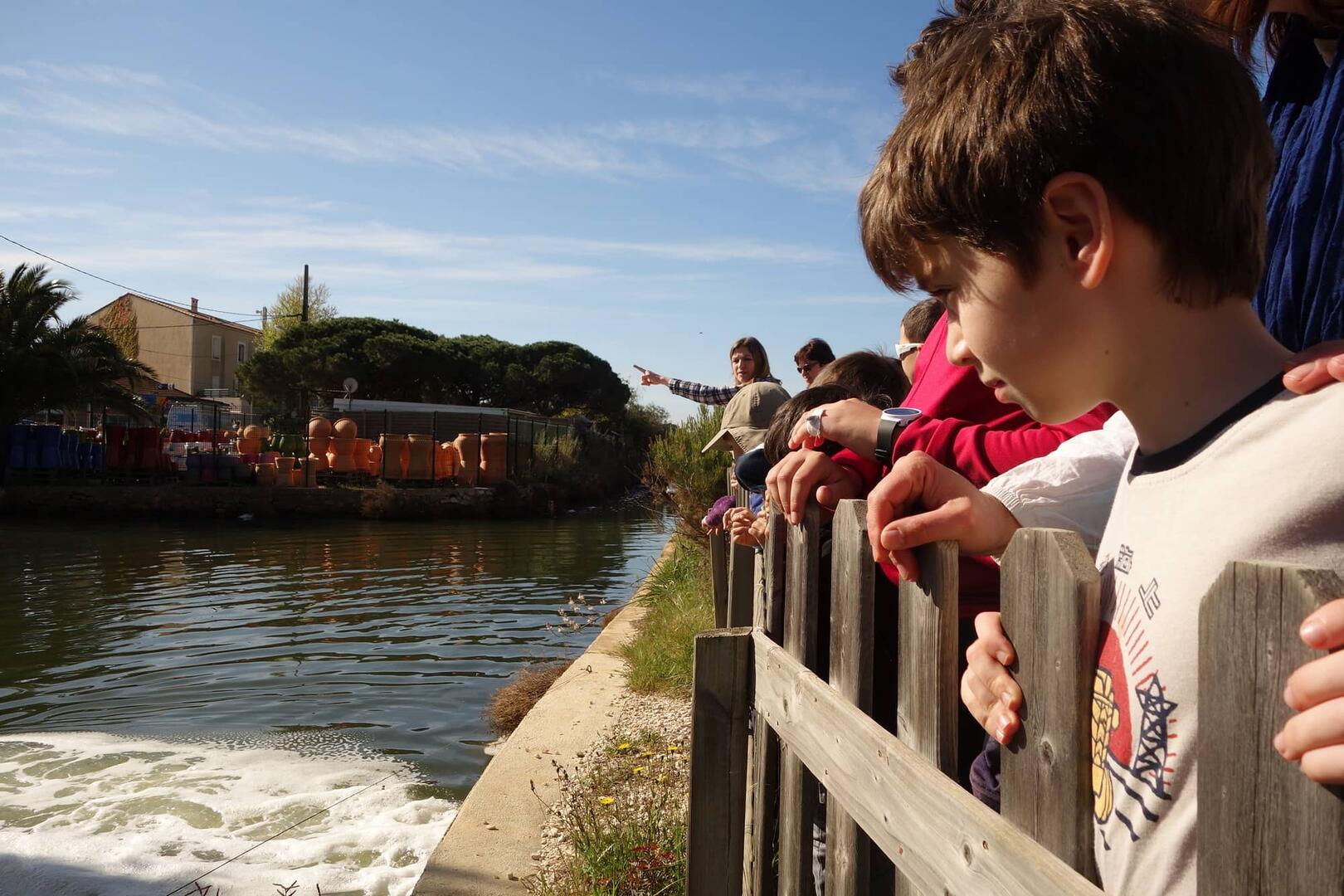 visite guidée au pays du sel salin des pesquiers enfants ludique