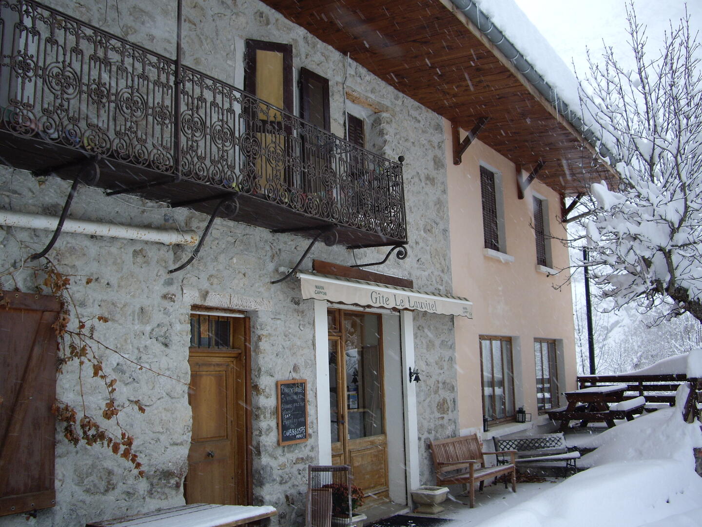 Le lauvitel en hiver