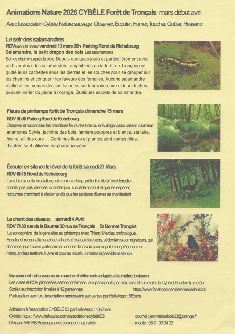 Le soir des salamandres_Saint-Bonnet-Tronçais