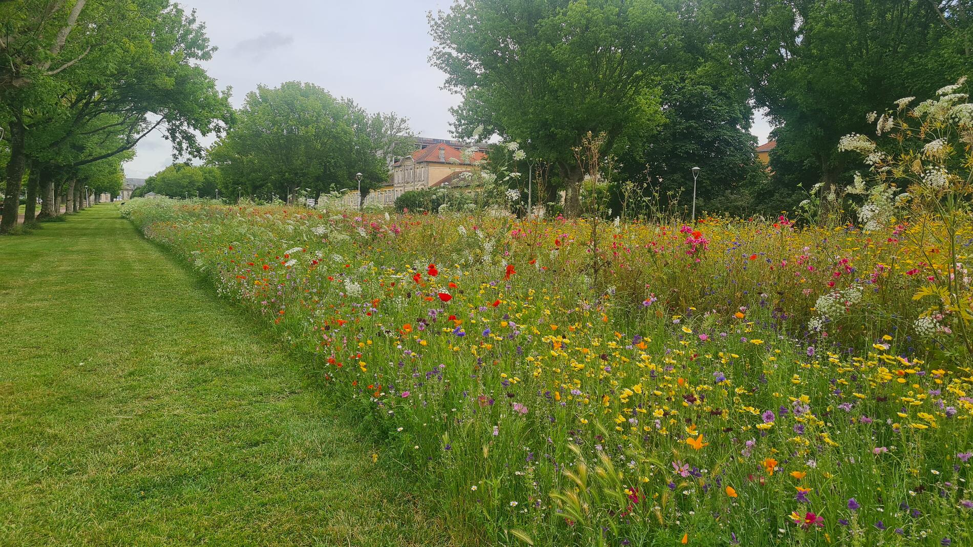 Semaines Arbre et Paysage