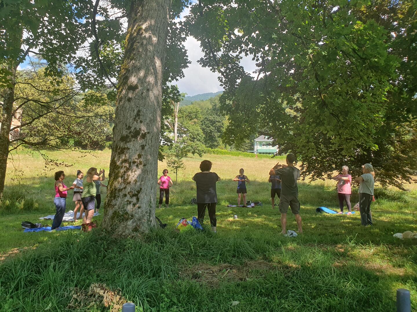 Qi Gong