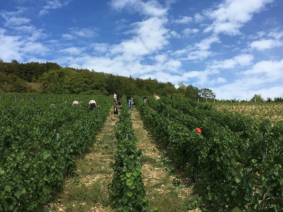 Domaine de la Dentelle_St Martin du Mont